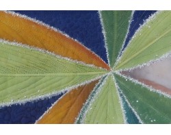 Good Eye by Karla Overland - Detail 3