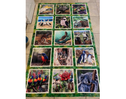 Australian Animals