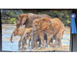 Crossing the Mkuze