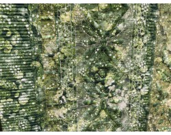 A Februarys Dream of Spring by Laurie Tigner - Back Of Quilt Detail