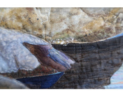 River Rocks by Sandra Mollon - Detail 2