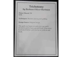 Trichotomy by Barbara Oliver Hartman - Houston International Quilt Festival 2024 Sign