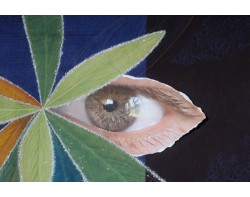 Good Eye by Karla Overland - Detail 1
