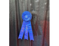 Lapin by Megumi Mizuno - First Place Applique Ribbon