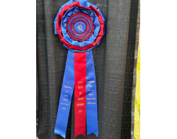 Joy by Cole Whitaker - A Celebration of Color Best of Show Ribbon awarded at Houston International Quilt Festival 2023