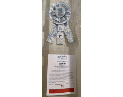 Sashes by Elizabeth Ray and Group Members - First Place Group or Bee Quilts Ribbon and Sign