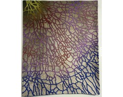 Gorgonia by Betty Busby