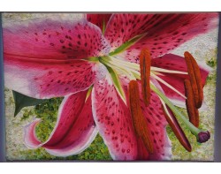 Stargazer Splendor by Andrea Brokenshire (Photo by Zumi Hidalgo)