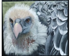 High Flying Rüppell's Griffon Vulture