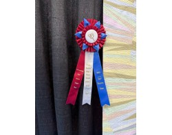 Flowering Bush by Lyudmila Bronshtein - Alex Anderson Judges Choice Ribbon