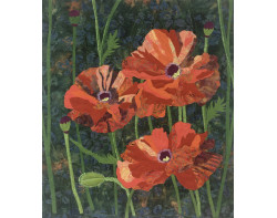 Peaceful Poppies