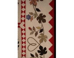 Davis Album Quilt by Jaimie Davis - Border