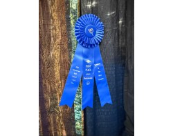 Glimpse Into the Forest by Pat Durbin - First Place Naturescape Ribbon at Houston 2025