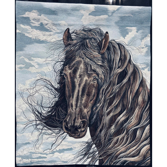 A Horse With No Name