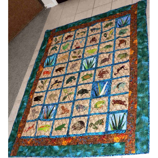 Frogs and Toads and Turtles, Oh My!