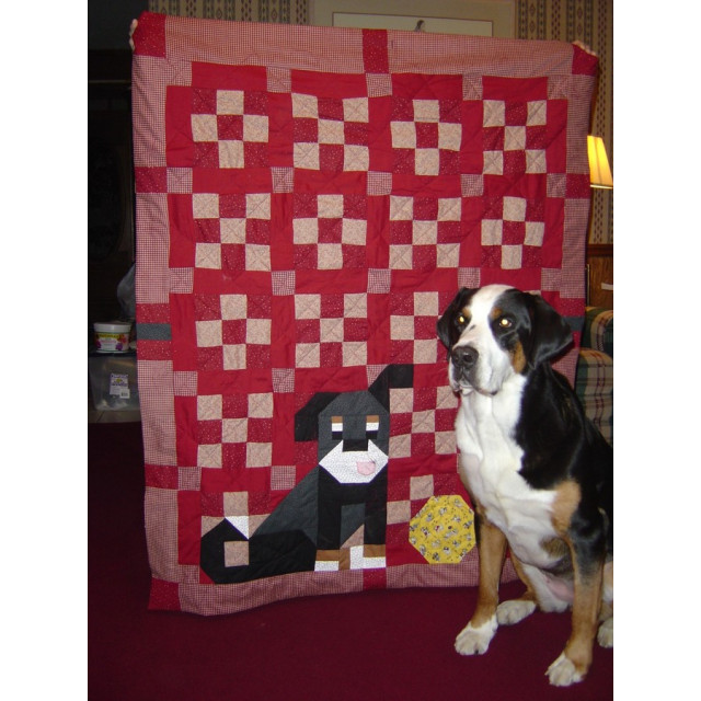 The Swissy Quilt