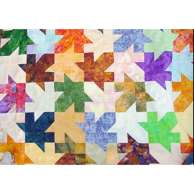Maple Leaf