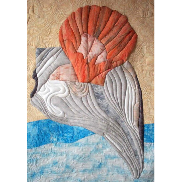 Seashells