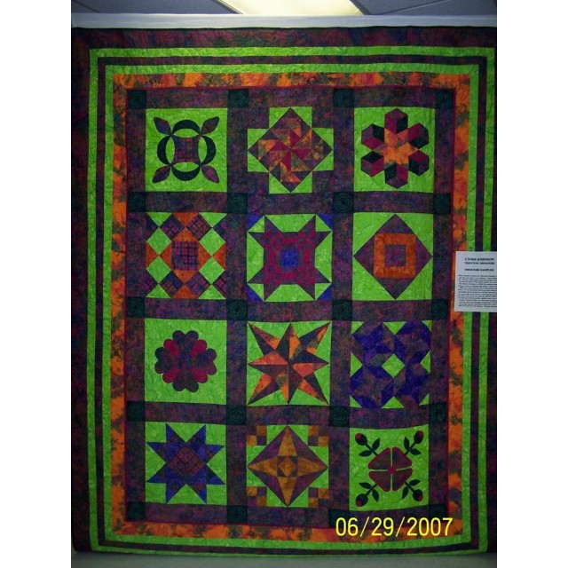 Missouri Sampler in Green