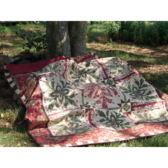 Christmas Cactus