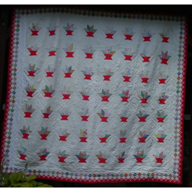 Amanda's Cactus Basket