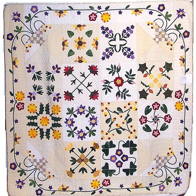 Prairie Flowers