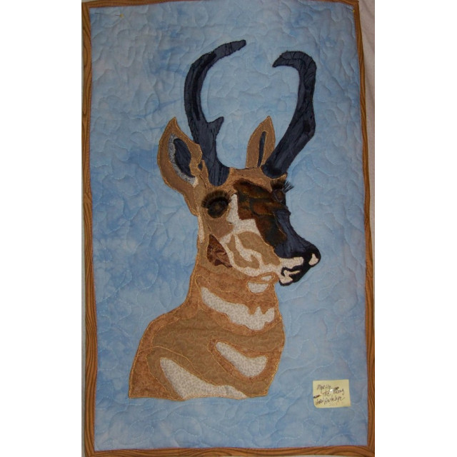 Myrtle the Prong Horn Atelope