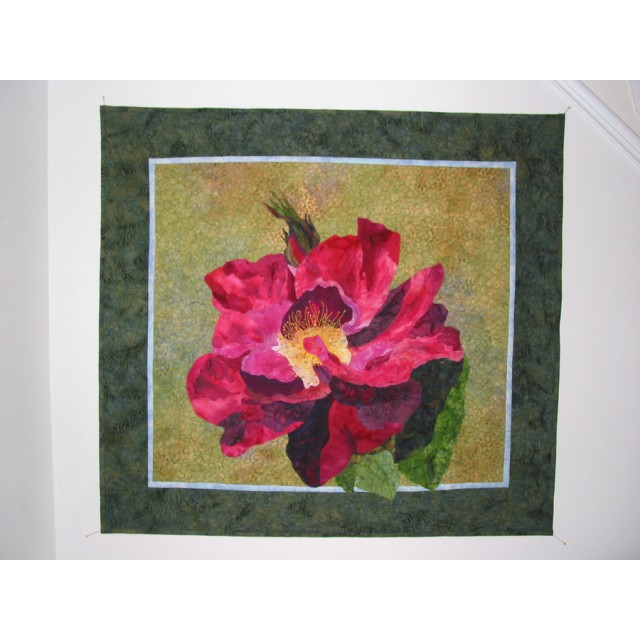 Rose in Bloom
