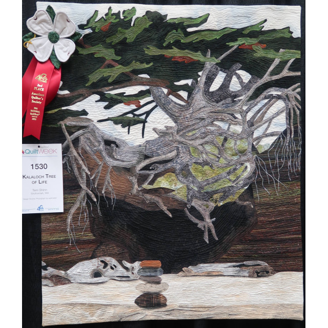 Kalaloch Tree Of Life