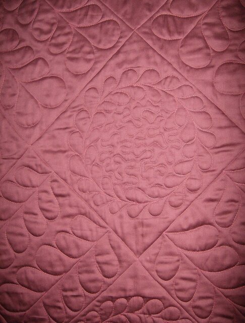 back of 'Feather Bed of Roses'