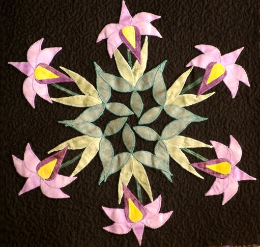 Every Quilter Dreams