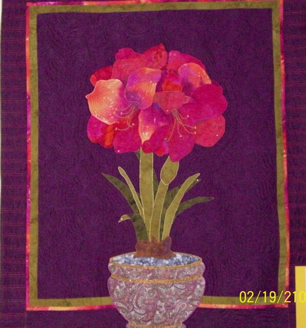 Amaryllis