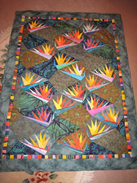 Bird of Paradise