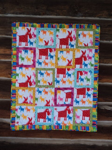 Burros for Baby
