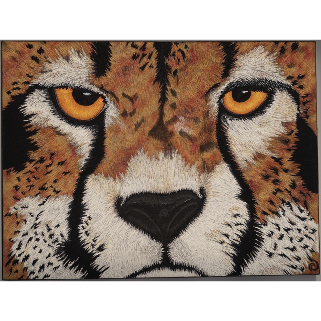Cheetah