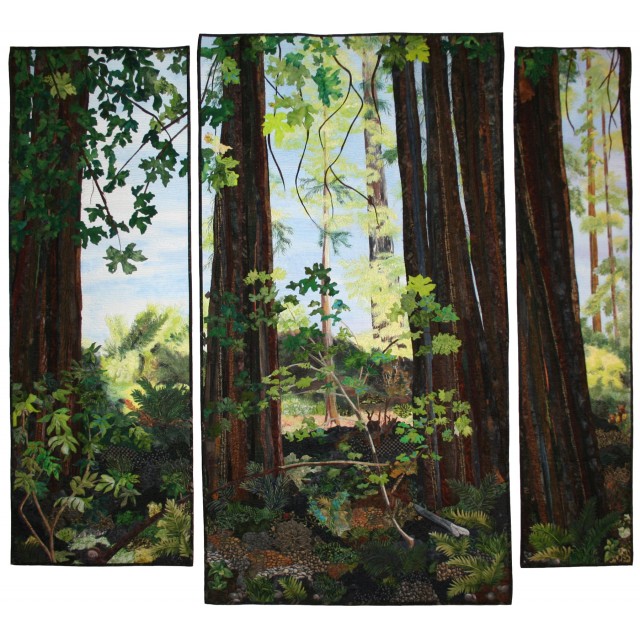 Sunlight in the Forest