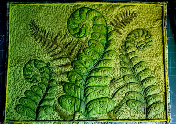 Ferns in Spring