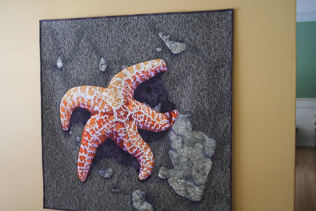Sarah's Sea Star By The Sea Shore