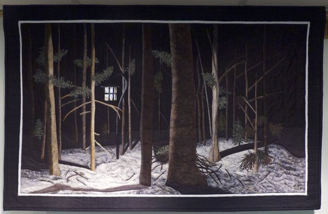 Light in the Forest