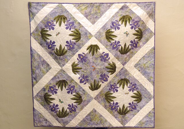 Louisiana Iris for Presley Ann