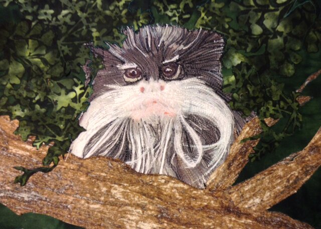 Capture of a Tamarin