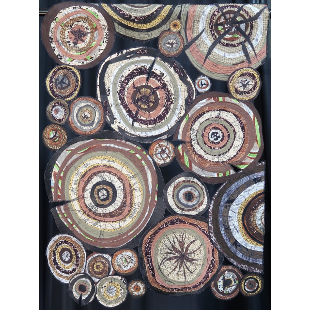 Tree Rings