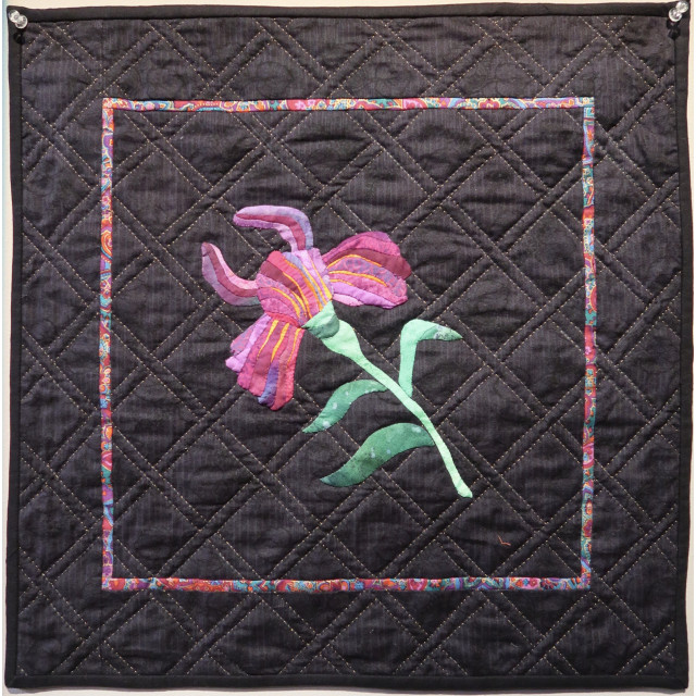 Iris