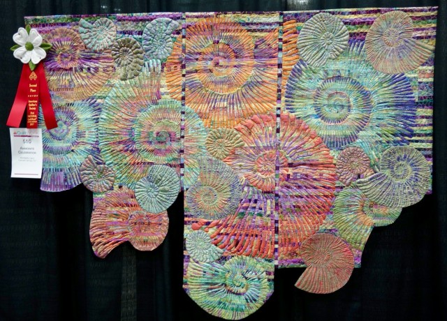 Ammonite Celebration