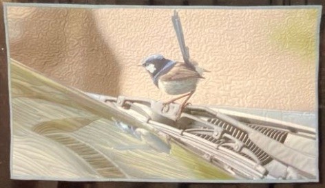 Curious Australian Bird