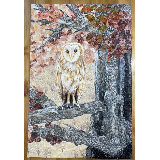 Barn Owl