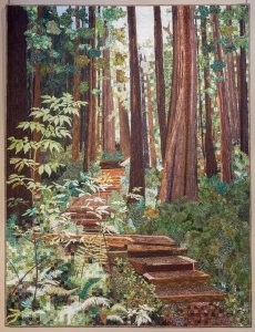 Forest Walk