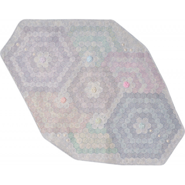 Paramecium Aurelia (Amoeba)