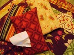 Pocket Tissue Cover