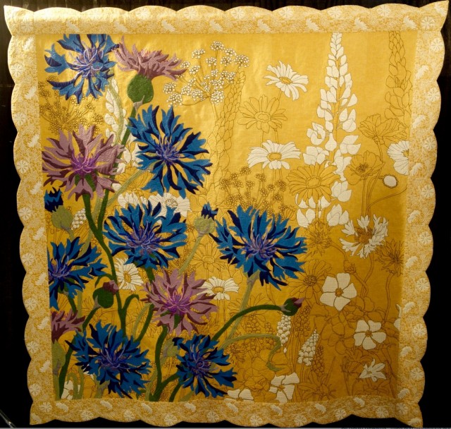 Field Sketch - Cornflower